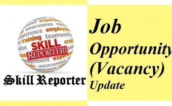 jobs at skill reporter